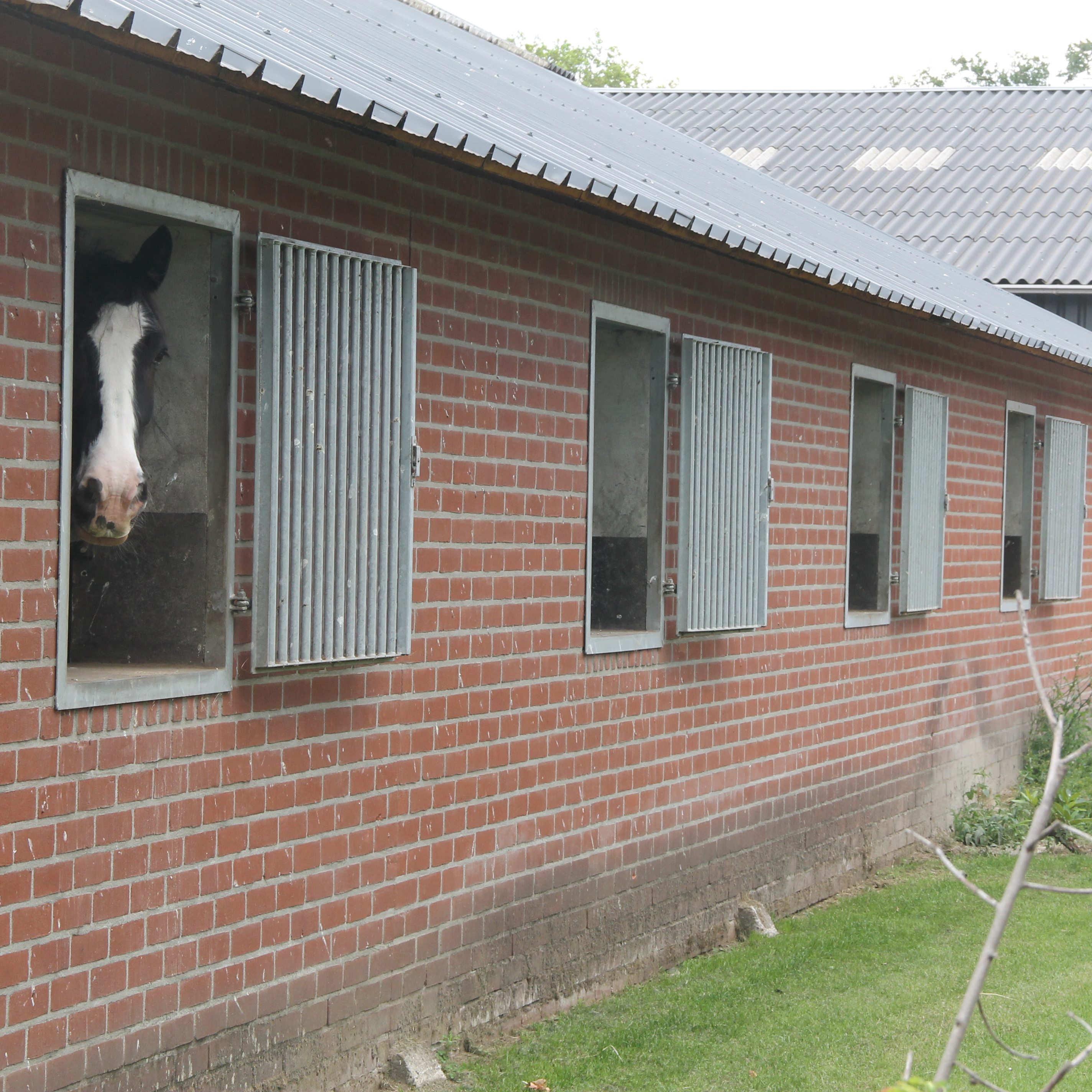 Pension